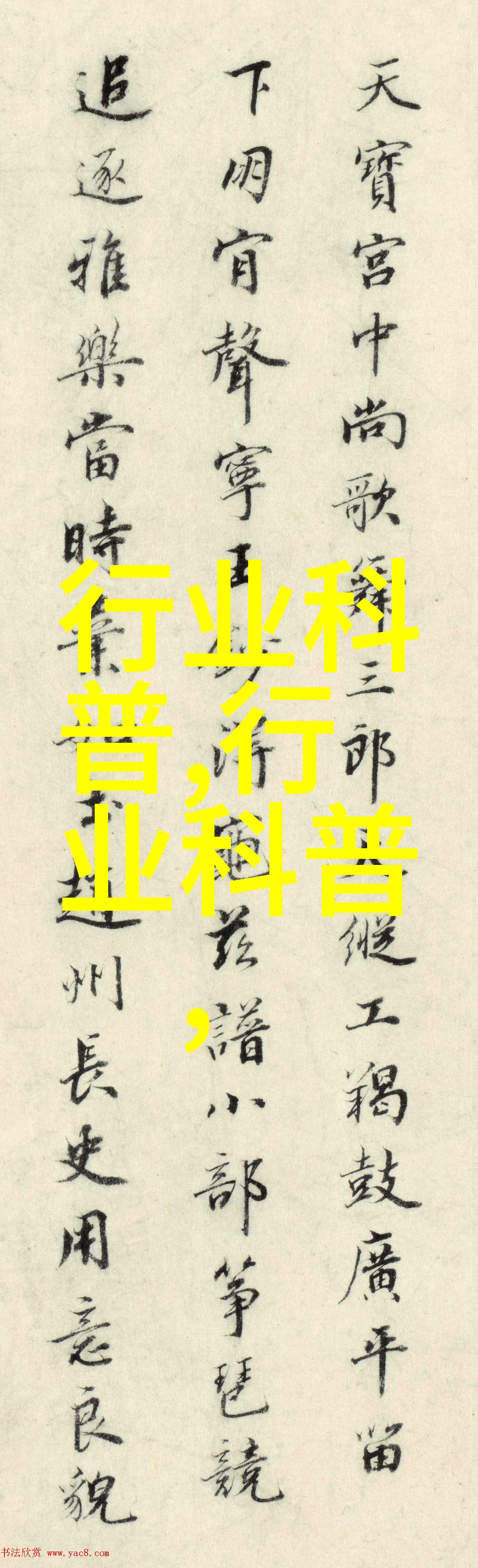 奥豪斯进口天平 便携式天平 电子天平