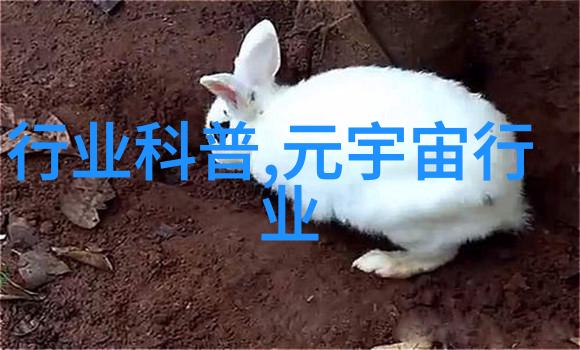 金属 矿石 化工颗粒输送机新乡鹏鼎专业定制