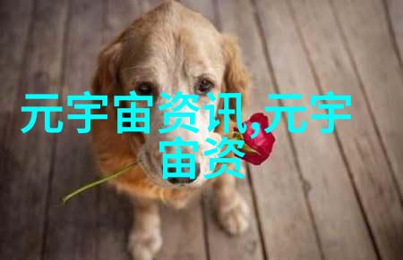 工业仓库厂家 转轮制造