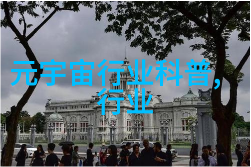 进口热动力式疏水阀